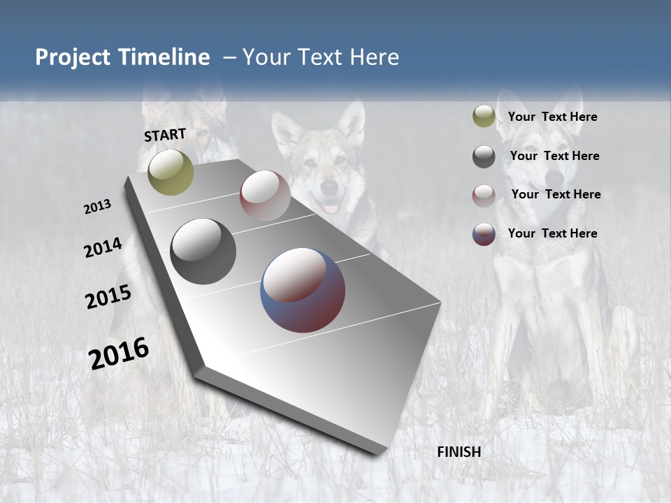 Three Dogs Are Sitting In A Snowy Field PowerPoint Template