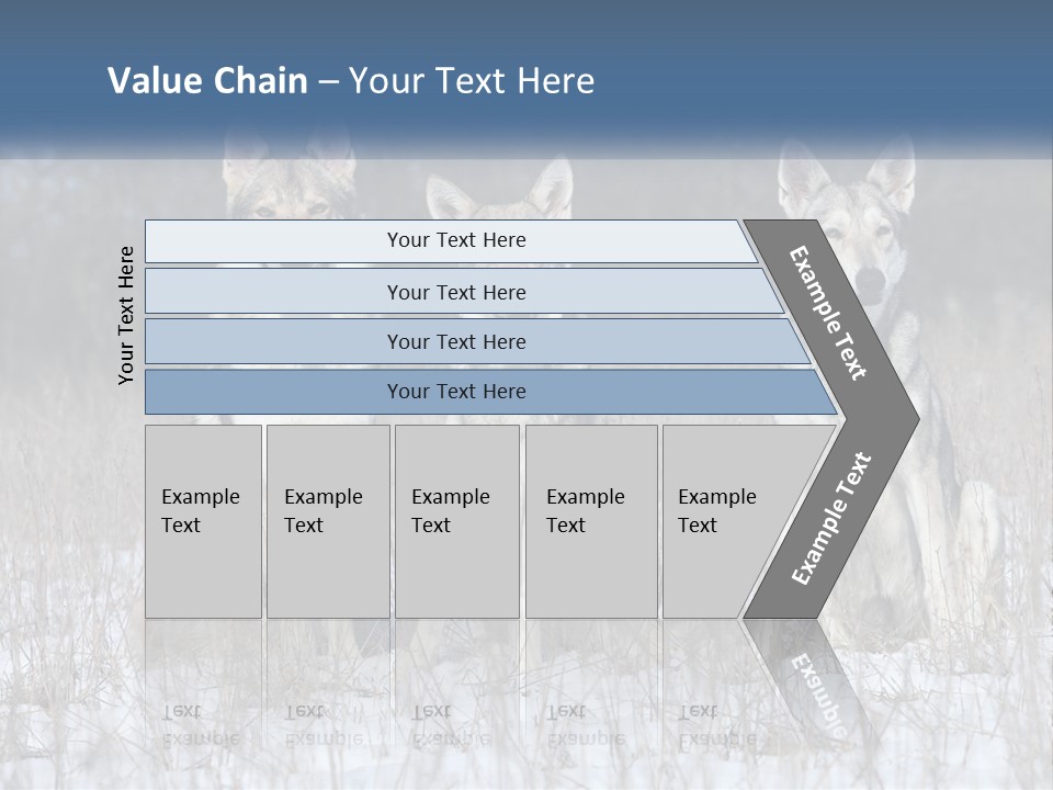 Three Dogs Are Sitting In A Snowy Field PowerPoint Template