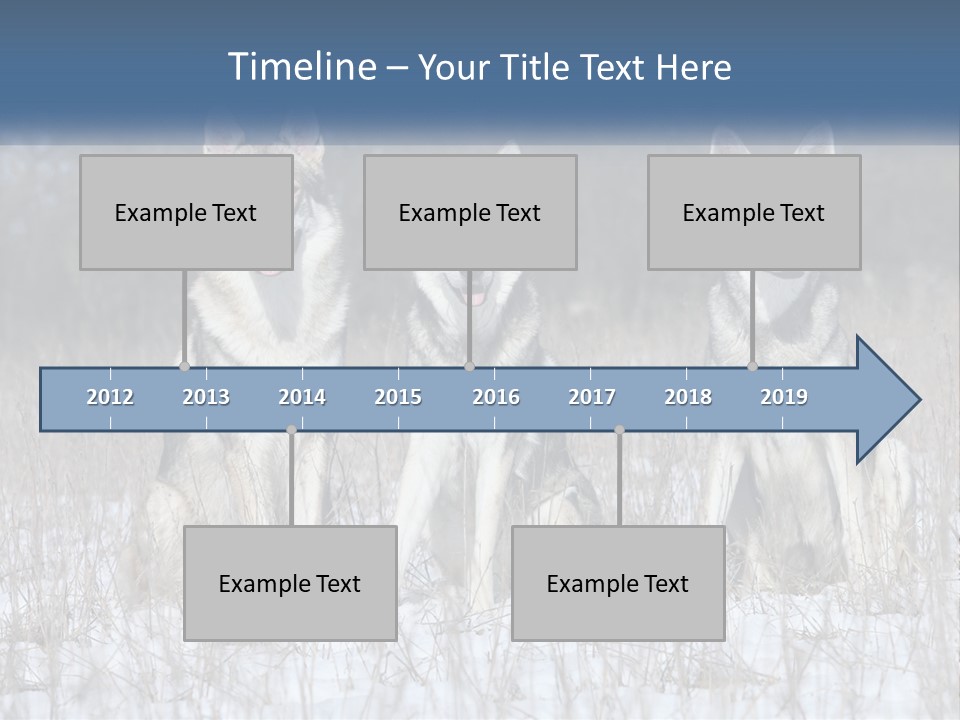Three Dogs Are Sitting In A Snowy Field PowerPoint Template