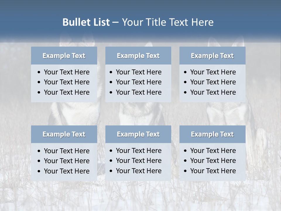 Three Dogs Are Sitting In A Snowy Field PowerPoint Template