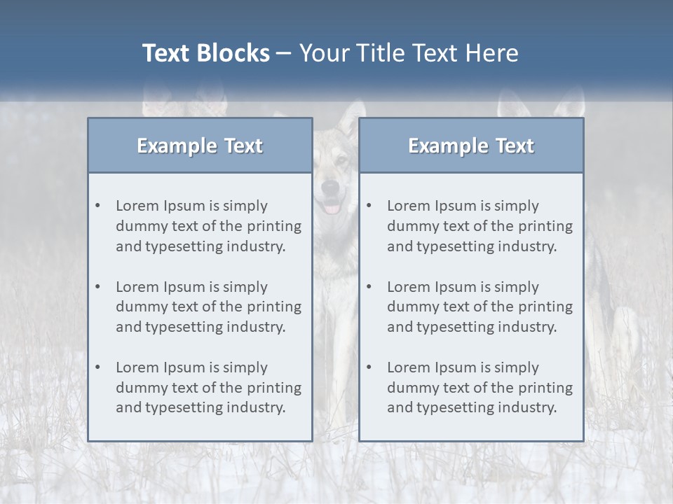 Three Dogs Are Sitting In A Snowy Field PowerPoint Template