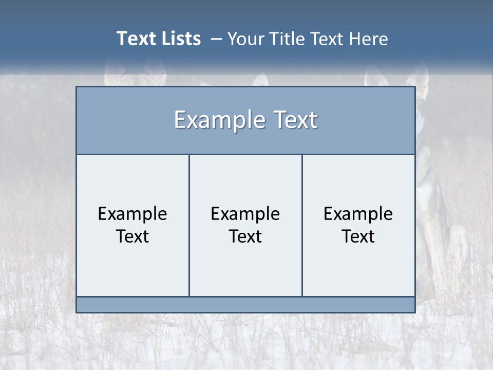 Three Dogs Are Sitting In A Snowy Field PowerPoint Template