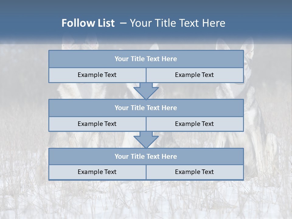 Three Dogs Are Sitting In A Snowy Field PowerPoint Template