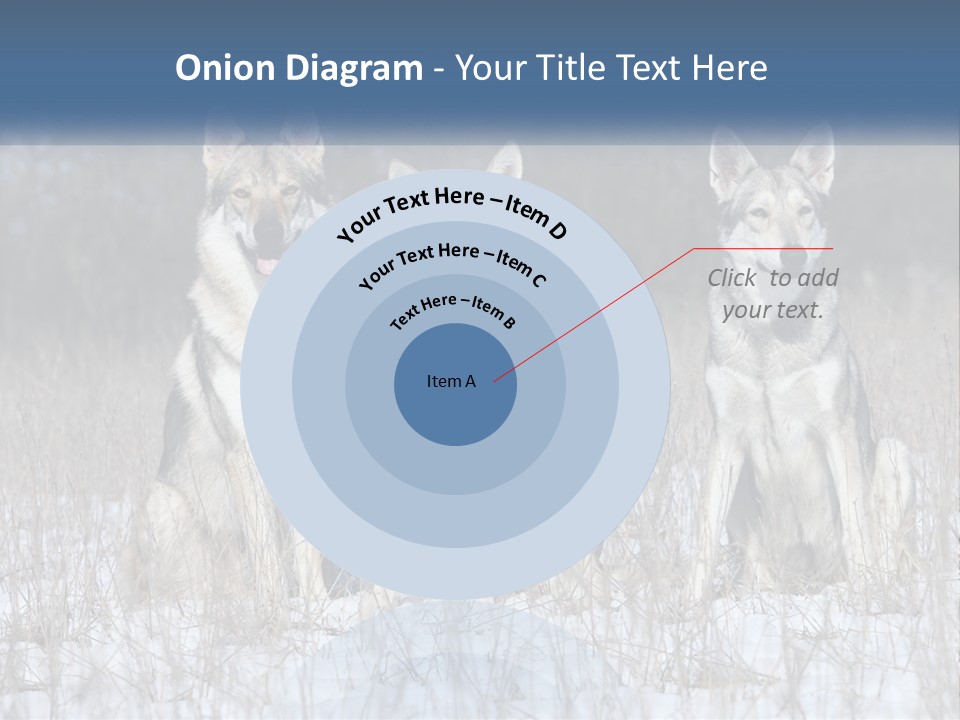 Three Dogs Are Sitting In A Snowy Field PowerPoint Template