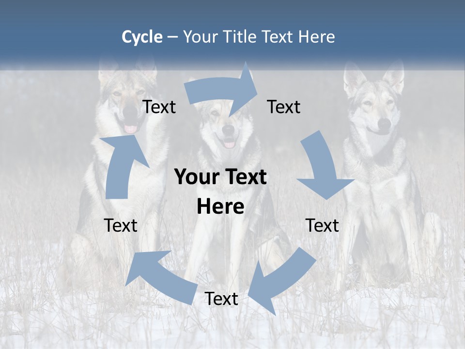 Three Dogs Are Sitting In A Snowy Field PowerPoint Template