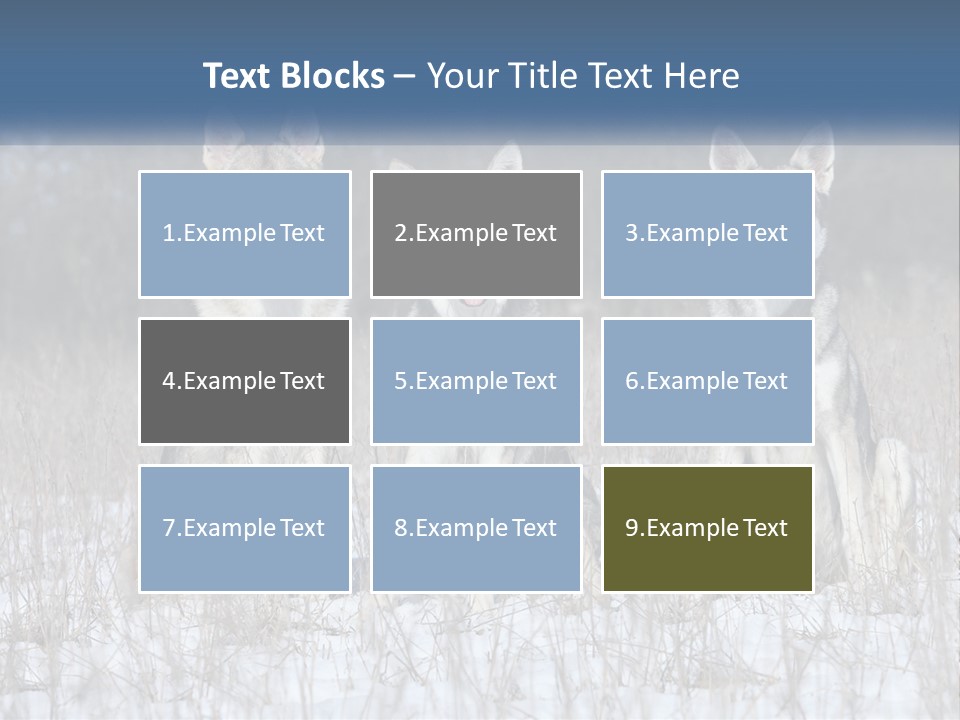 Three Dogs Are Sitting In A Snowy Field PowerPoint Template