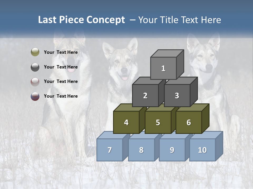 Three Dogs Are Sitting In A Snowy Field PowerPoint Template