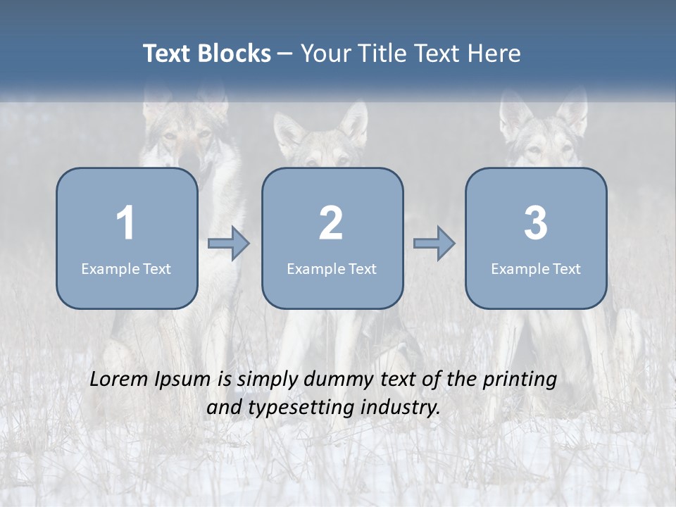 Three Dogs Are Sitting In A Snowy Field PowerPoint Template