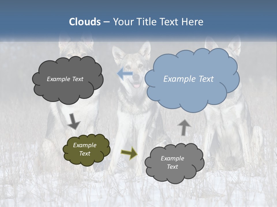 Three Dogs Are Sitting In A Snowy Field PowerPoint Template