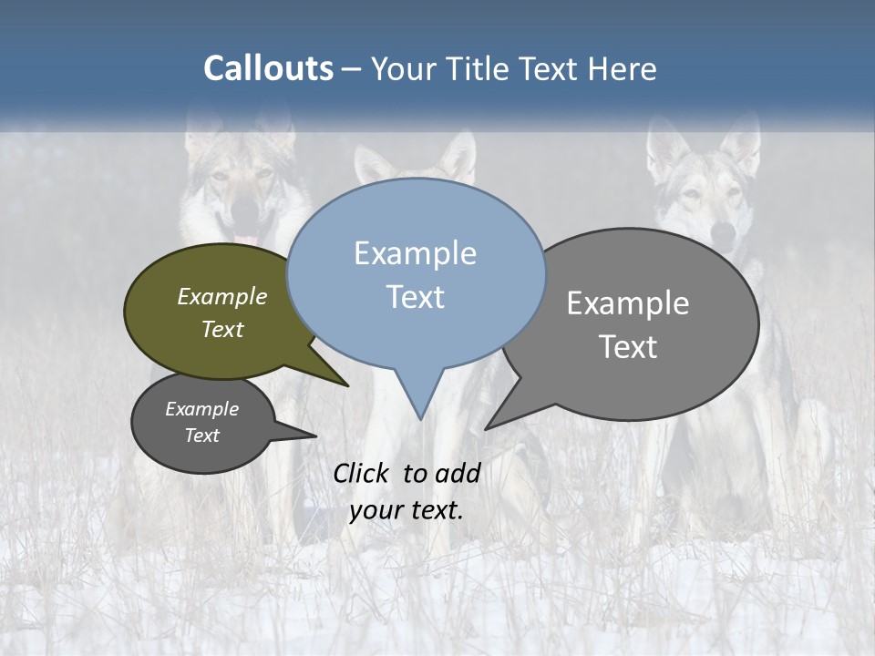 Three Dogs Are Sitting In A Snowy Field PowerPoint Template