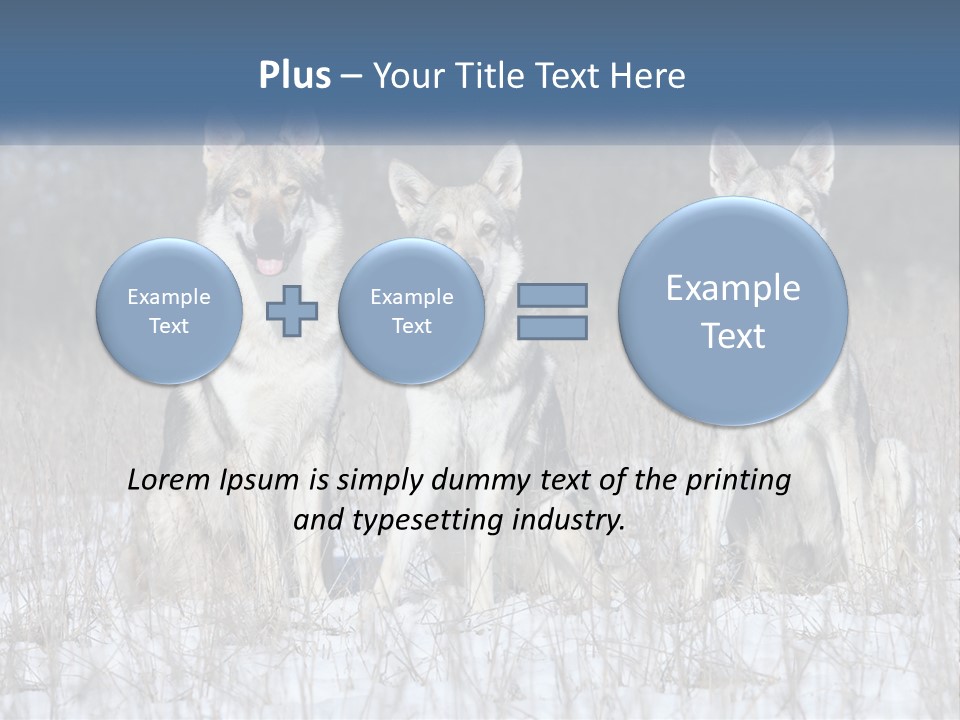 Three Dogs Are Sitting In A Snowy Field PowerPoint Template