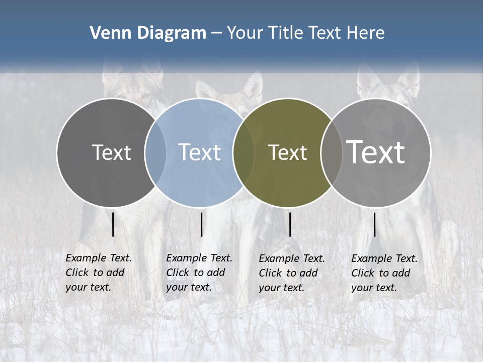 Three Dogs Are Sitting In A Snowy Field PowerPoint Template