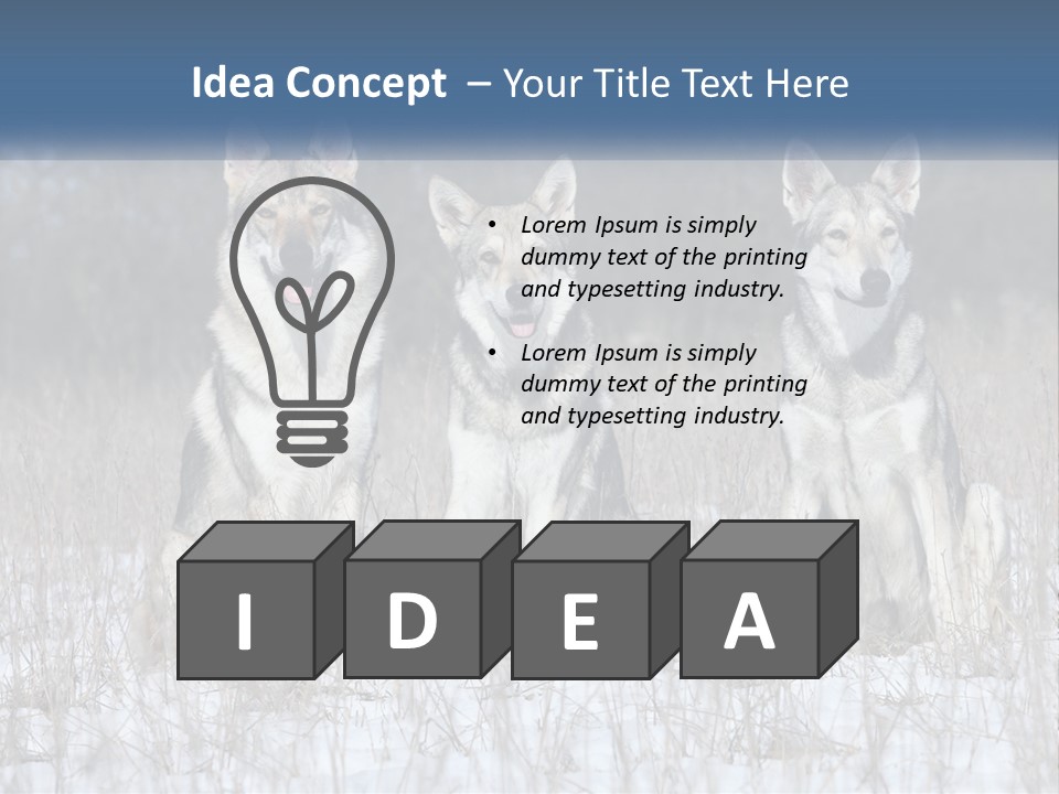 Three Dogs Are Sitting In A Snowy Field PowerPoint Template