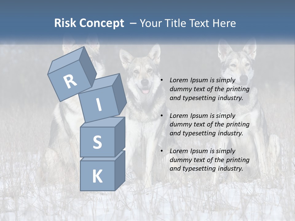 Three Dogs Are Sitting In A Snowy Field PowerPoint Template