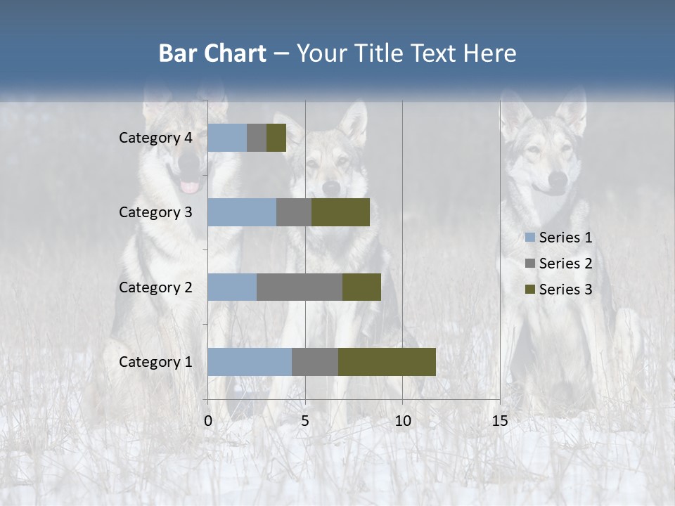 Three Dogs Are Sitting In A Snowy Field PowerPoint Template
