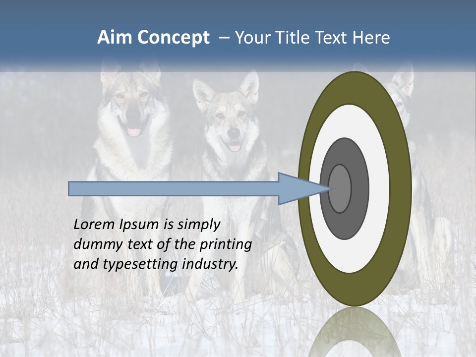 Three Dogs Are Sitting In A Snowy Field PowerPoint Template