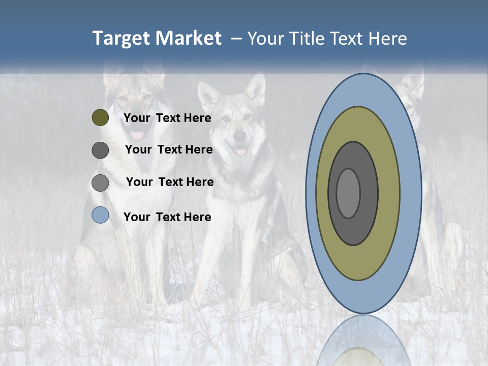 Three Dogs Are Sitting In A Snowy Field PowerPoint Template