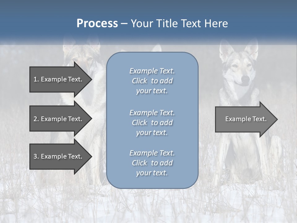 Three Dogs Are Sitting In A Snowy Field PowerPoint Template