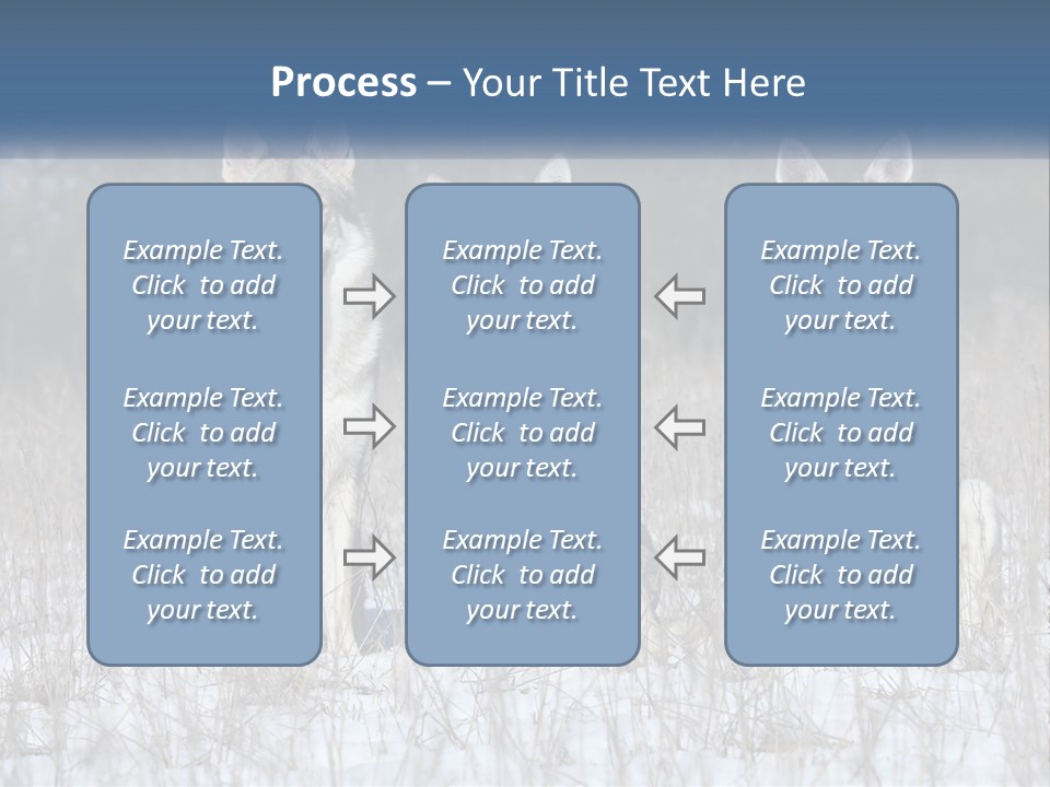 Three Dogs Are Sitting In A Snowy Field PowerPoint Template