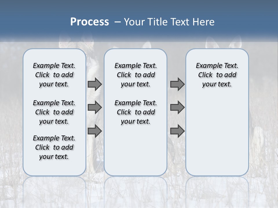 Three Dogs Are Sitting In A Snowy Field PowerPoint Template