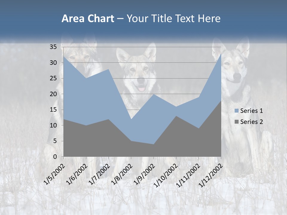 Three Dogs Are Sitting In A Snowy Field PowerPoint Template