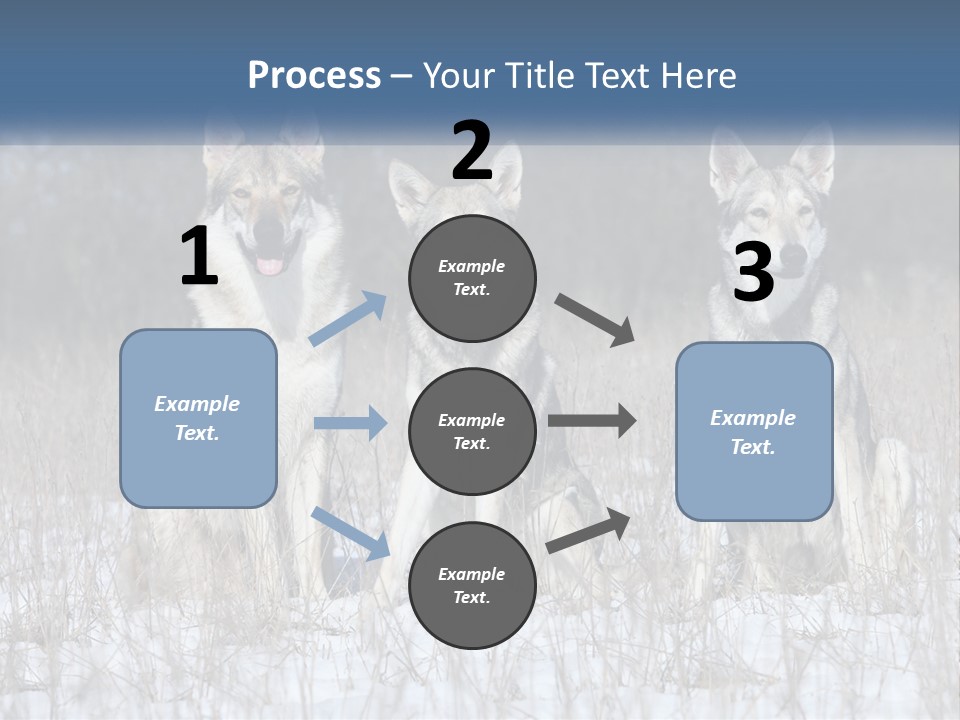 Three Dogs Are Sitting In A Snowy Field PowerPoint Template