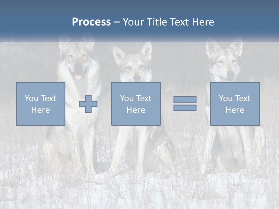 Three Dogs Are Sitting In A Snowy Field PowerPoint Template