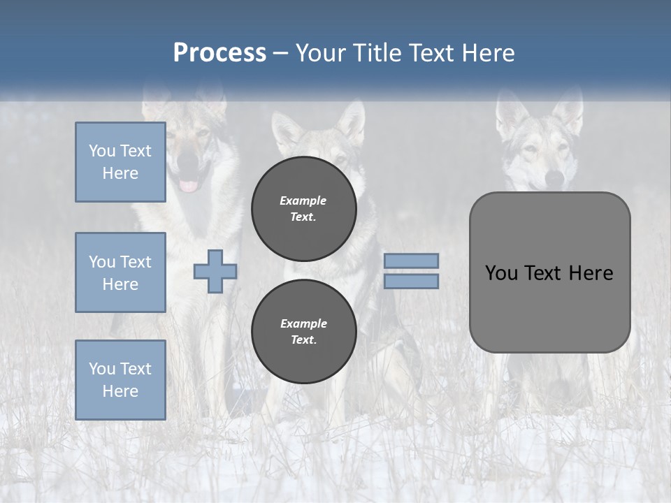 Three Dogs Are Sitting In A Snowy Field PowerPoint Template
