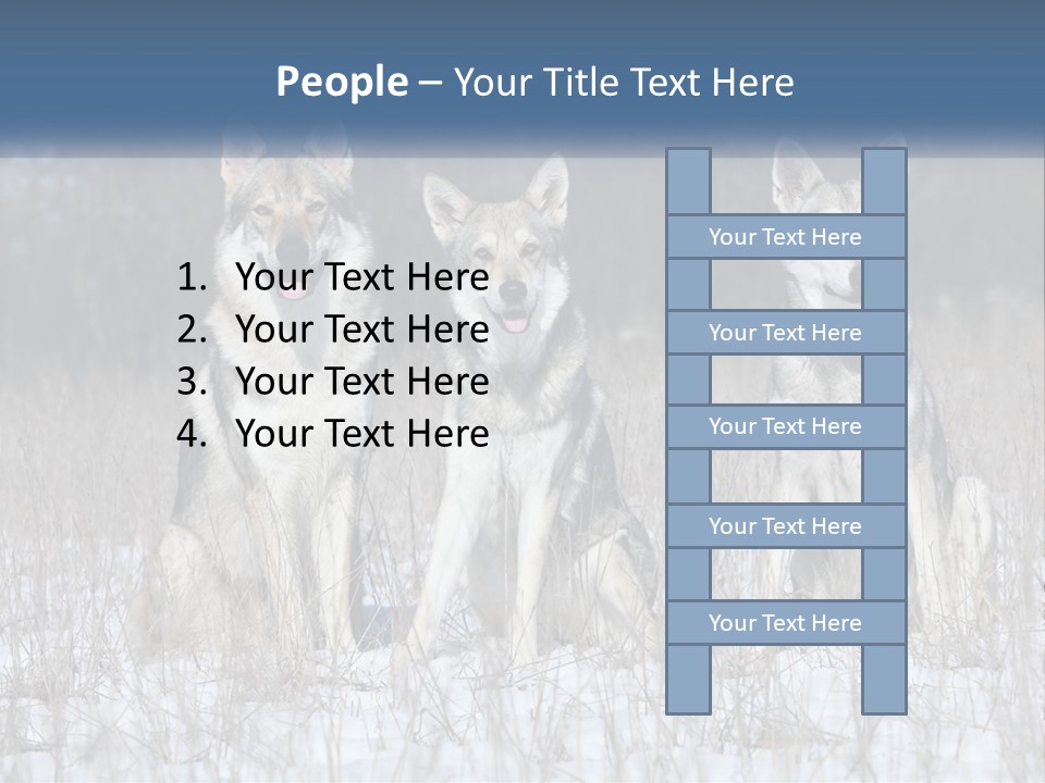 Three Dogs Are Sitting In A Snowy Field PowerPoint Template