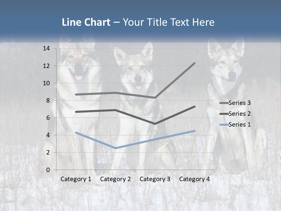 Three Dogs Are Sitting In A Snowy Field PowerPoint Template