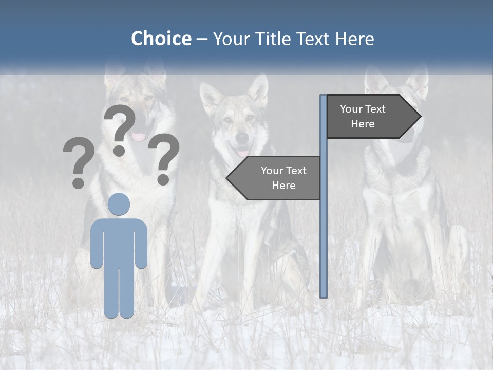 Three Dogs Are Sitting In A Snowy Field PowerPoint Template