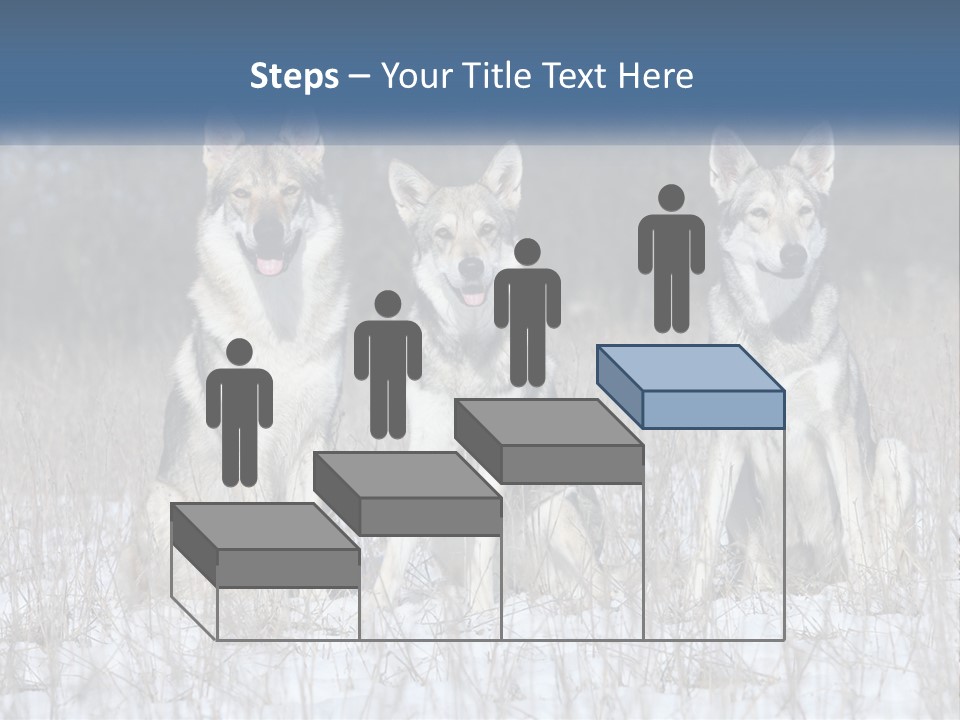 Three Dogs Are Sitting In A Snowy Field PowerPoint Template