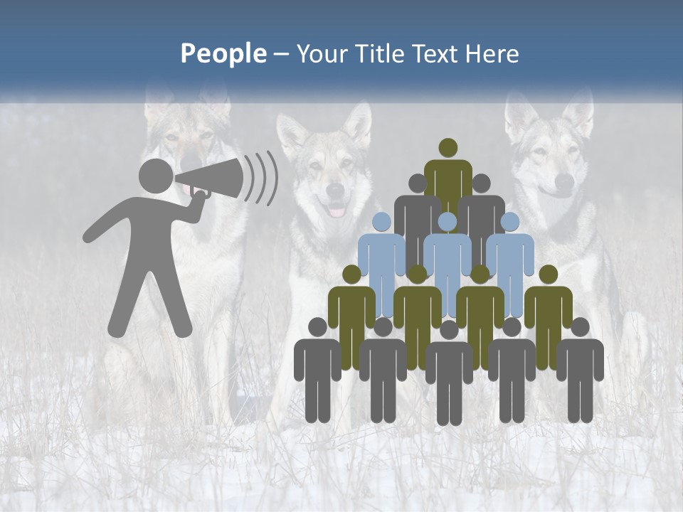 Three Dogs Are Sitting In A Snowy Field PowerPoint Template