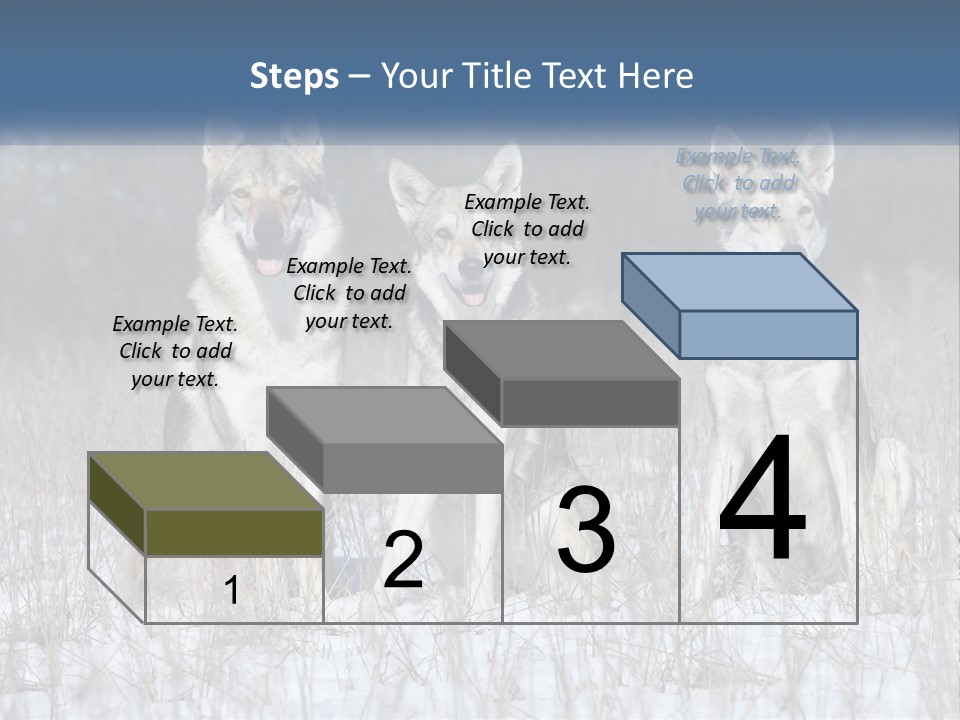 Three Dogs Are Sitting In A Snowy Field PowerPoint Template