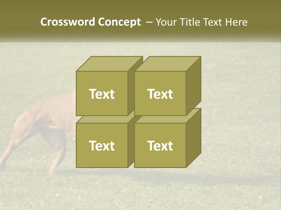 A Brown Dog Running Across A Lush Green Field PowerPoint Template