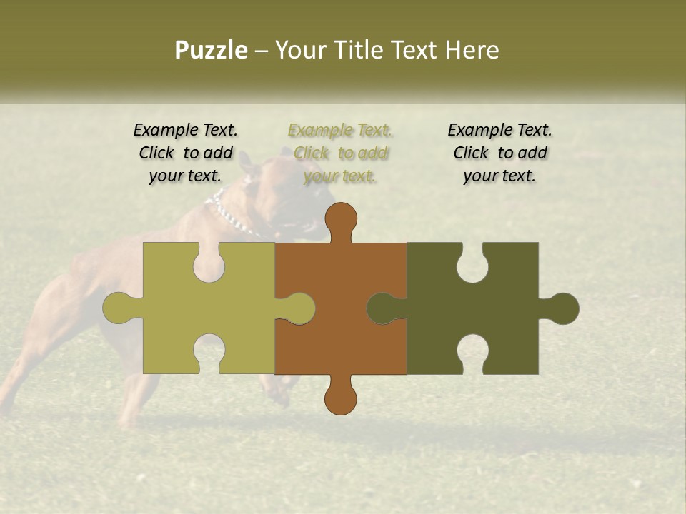 A Brown Dog Running Across A Lush Green Field PowerPoint Template
