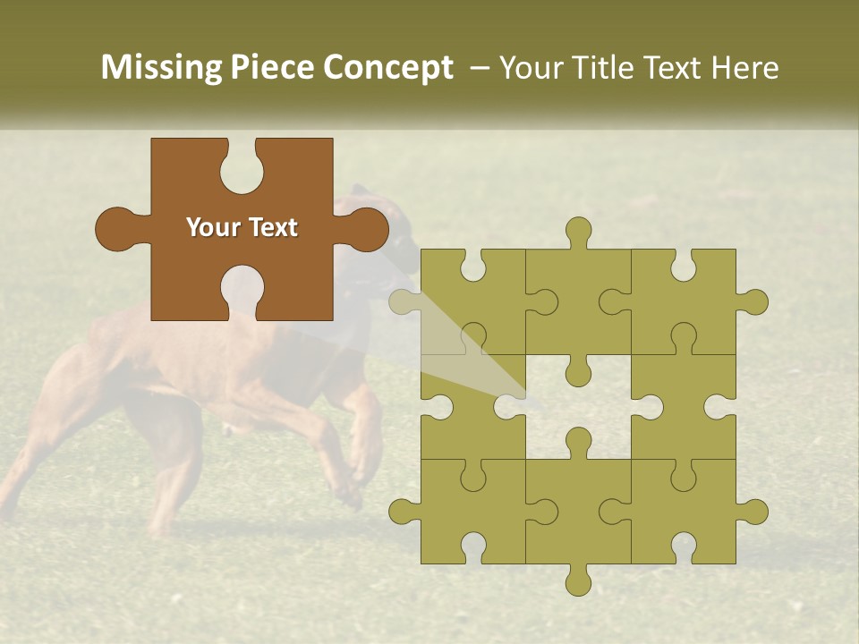A Brown Dog Running Across A Lush Green Field PowerPoint Template