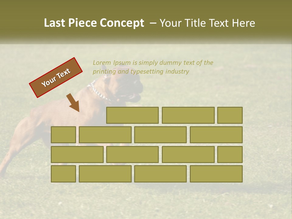A Brown Dog Running Across A Lush Green Field PowerPoint Template