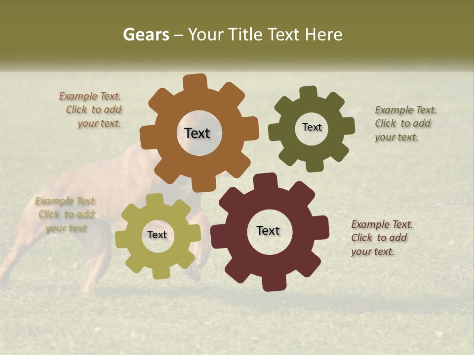 A Brown Dog Running Across A Lush Green Field PowerPoint Template