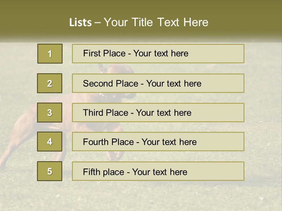 A Brown Dog Running Across A Lush Green Field PowerPoint Template