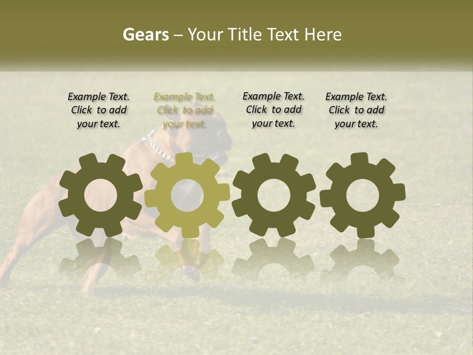 A Brown Dog Running Across A Lush Green Field PowerPoint Template