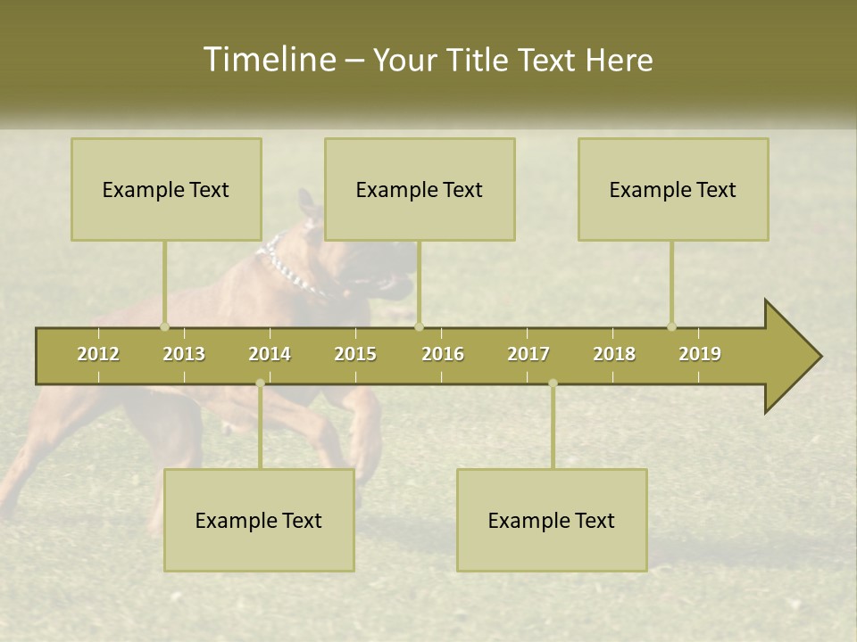 A Brown Dog Running Across A Lush Green Field PowerPoint Template
