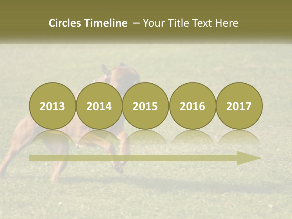 A Brown Dog Running Across A Lush Green Field PowerPoint Template