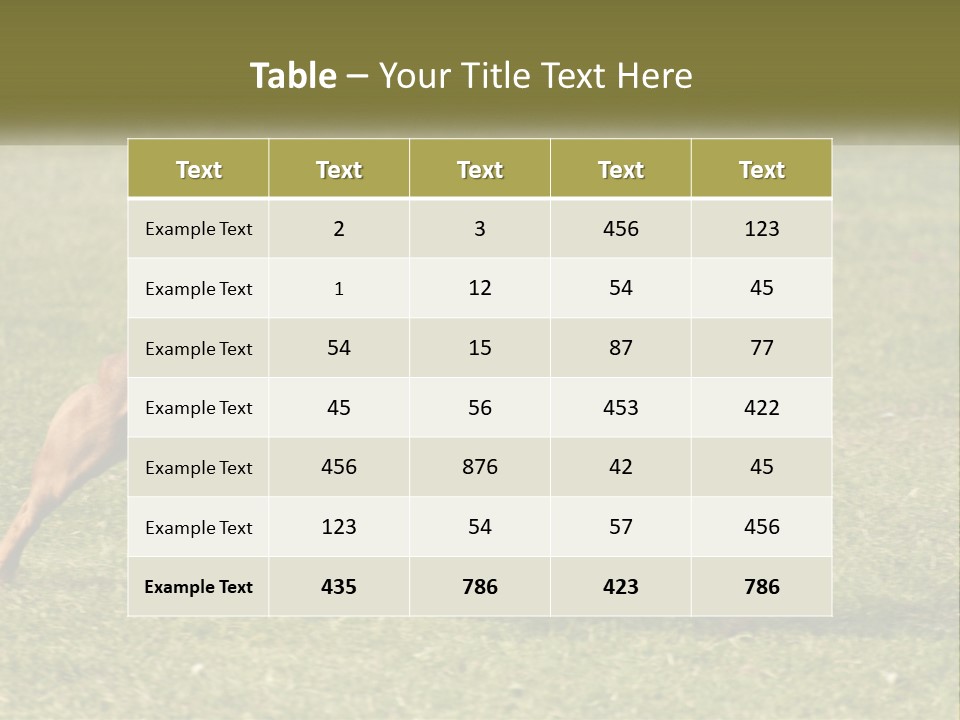 A Brown Dog Running Across A Lush Green Field PowerPoint Template