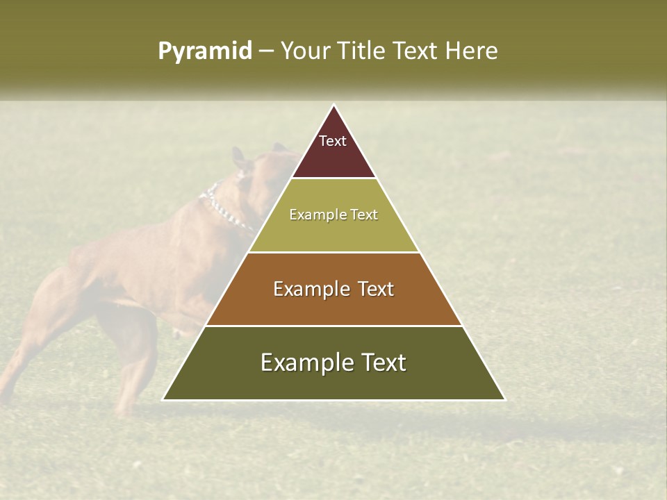 A Brown Dog Running Across A Lush Green Field PowerPoint Template