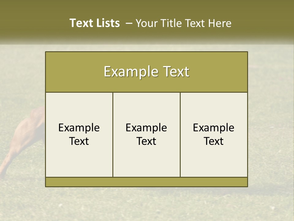 A Brown Dog Running Across A Lush Green Field PowerPoint Template