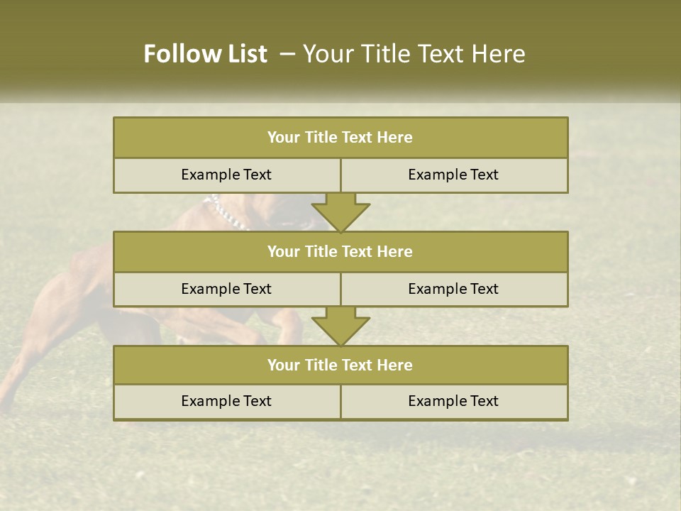 A Brown Dog Running Across A Lush Green Field PowerPoint Template