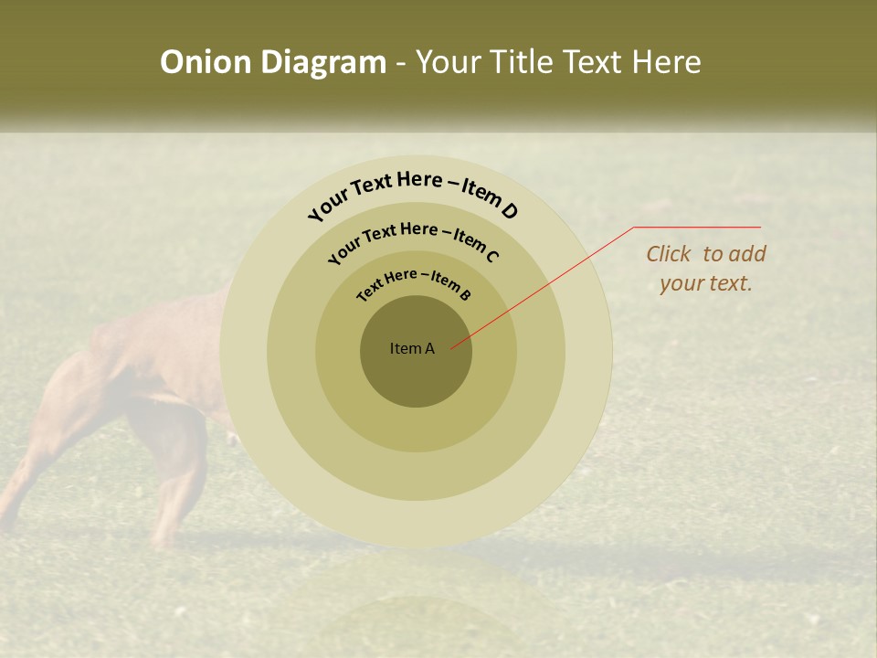 A Brown Dog Running Across A Lush Green Field PowerPoint Template