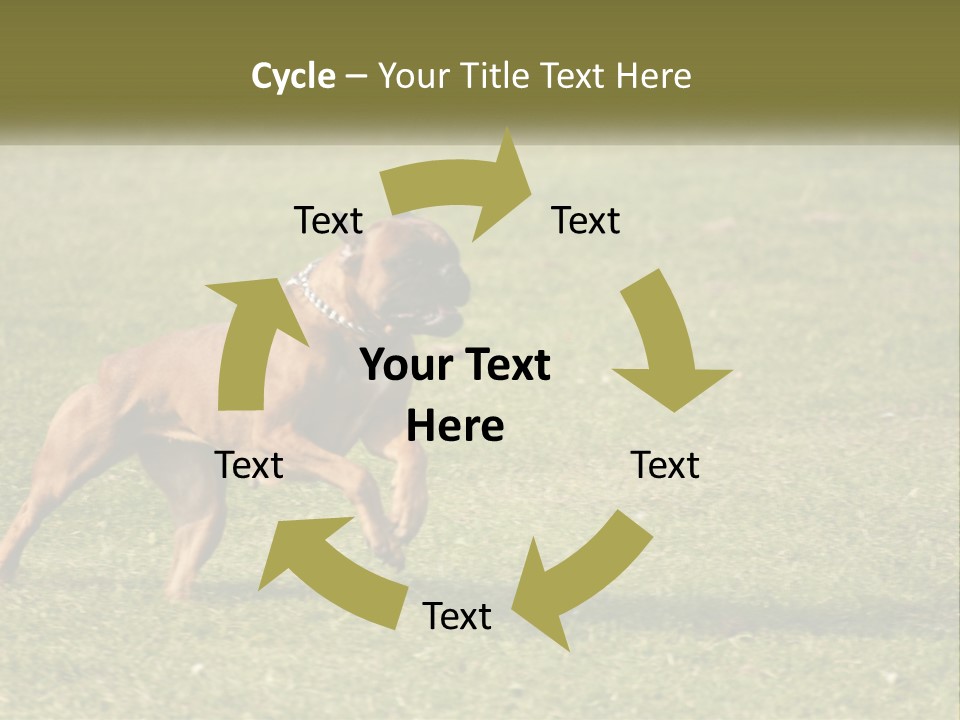 A Brown Dog Running Across A Lush Green Field PowerPoint Template