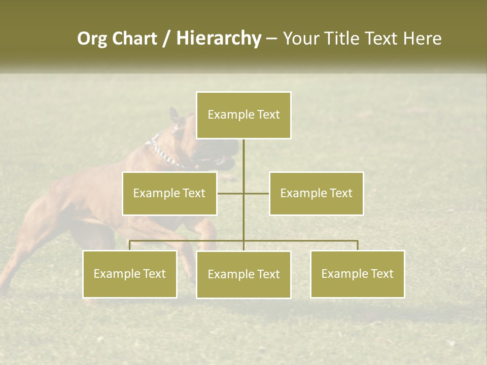 A Brown Dog Running Across A Lush Green Field PowerPoint Template